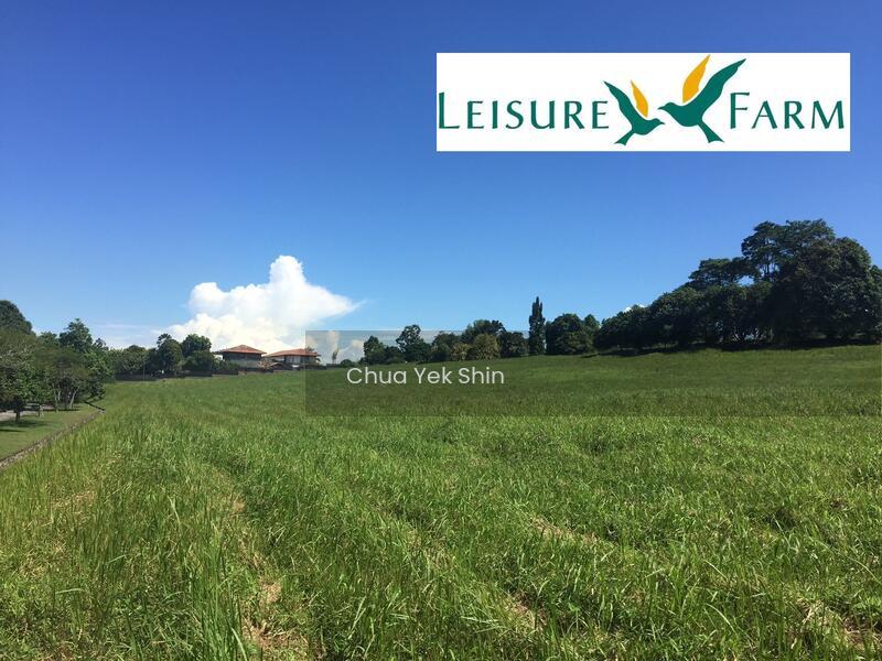 Leisure Farm - 1