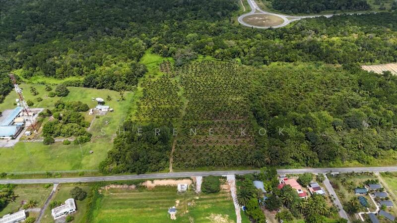Agricultural Land @ Sematan Jalan Seacom - 5
