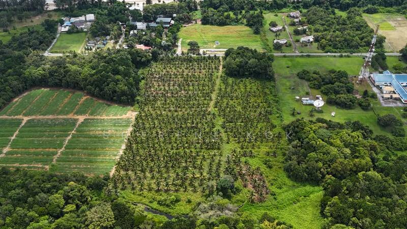Agricultural Land @ Sematan Jalan Seacom - 3
