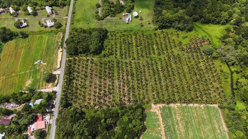 Agricultural Land @ Sematan Jalan Seacom - 4