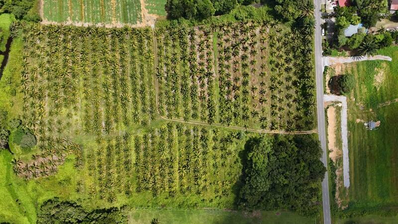 Agricultural Land @ Sematan Jalan Seacom - 2