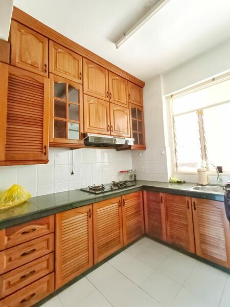 Kingfisher Series - 4