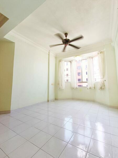 Kingfisher Series - 3