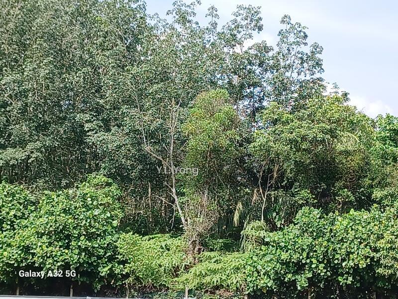 Bandar Kuala Selangor - 2