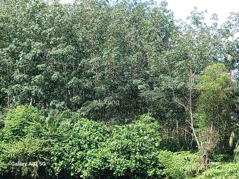 Bandar Kuala Selangor - 1