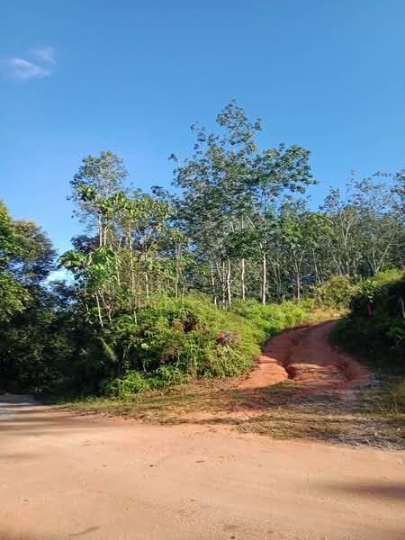 Jalan Sungai Lalang - 1