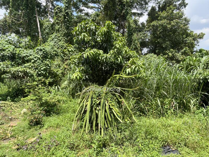 RESIDENTIAL LAND @ TMN SEREMBAN - 2