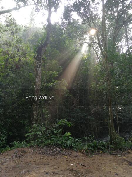 Bentong, Bukit Tinggi, Janda Baik (Ref 537) - 4