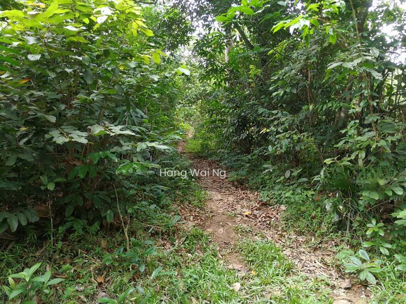 Bentong, Bukit Tinggi, Janda Baik (Ref 537) - 5