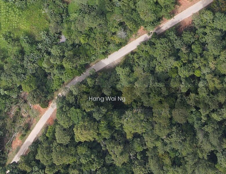 Bentong, Bukit Tinggi, Janda Baik (Ref 537) - 2