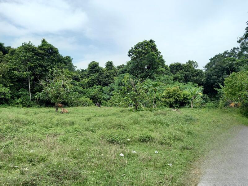 Vacant Commercial and Residential and Agricultual Land For Development - 3