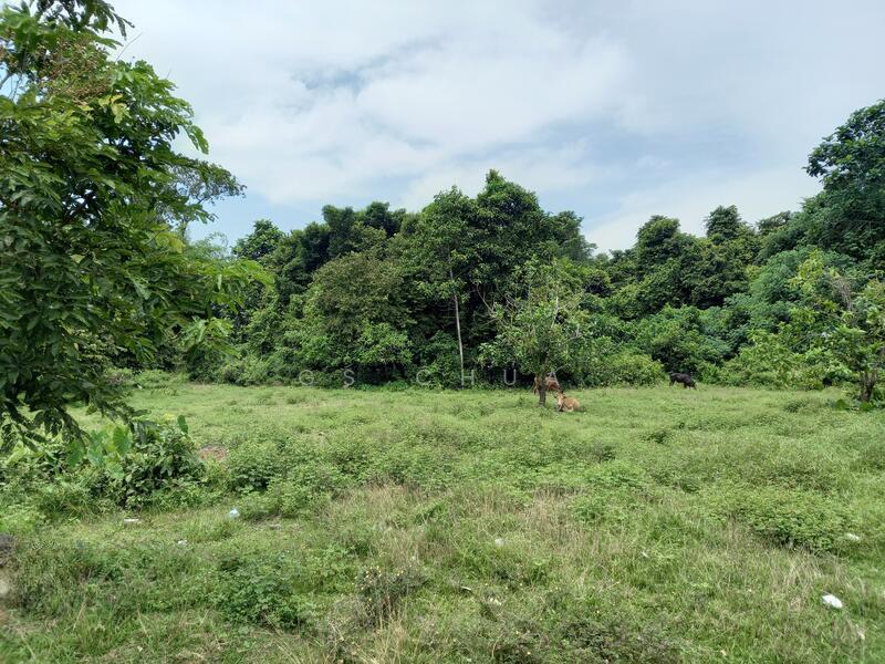 Vacant Commercial and Residential and Agricultual Land For Development - 1