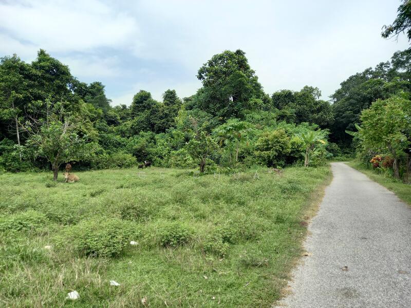 Vacant Commercial and Residential and Agricultual Land For Development - 3