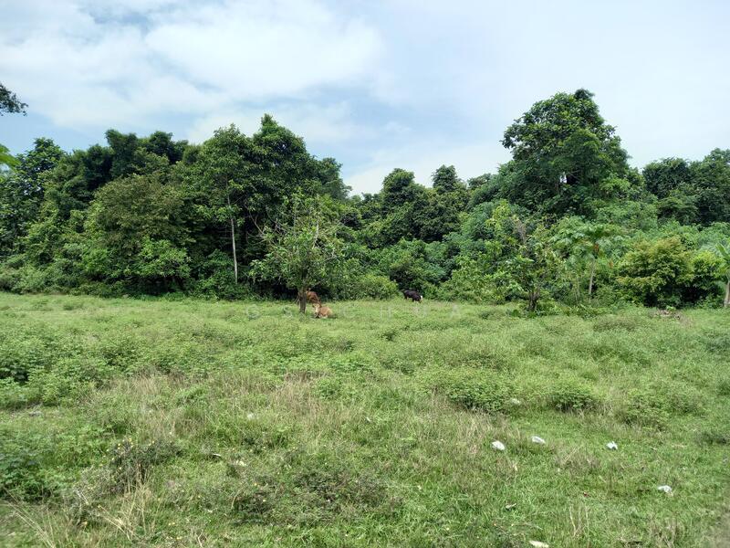 Vacant Commercial and Residential and Agricultual Land For Development - 2