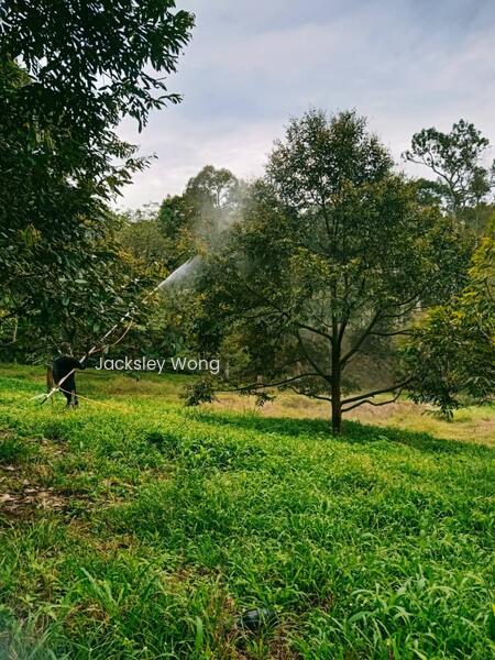 Jalan Kuala Klawang, titi, Negeri Sembilan,, Jalan Kuala Klawang, Titi, 71650, Negeri Sembilan - 4