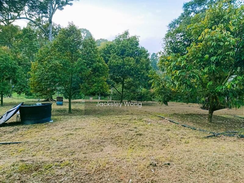 Jalan Kuala Klawang, titi, Negeri Sembilan,, Jalan Kuala Klawang, Titi, 71650, Negeri Sembilan - 1