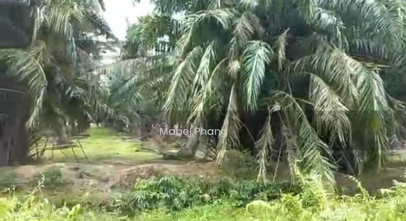 Batu Kawan Industrial Land , Byram, Nibong Tebal - 2