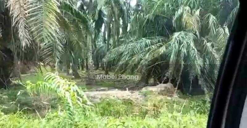 Batu Kawan Industrial Land , Byram, Nibong Tebal - 1