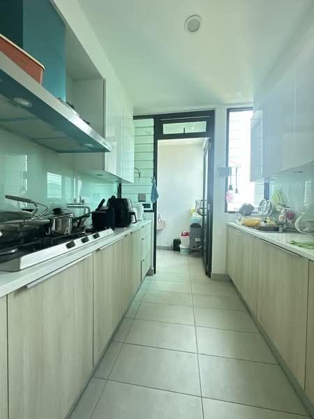 The Light Collection III - 2