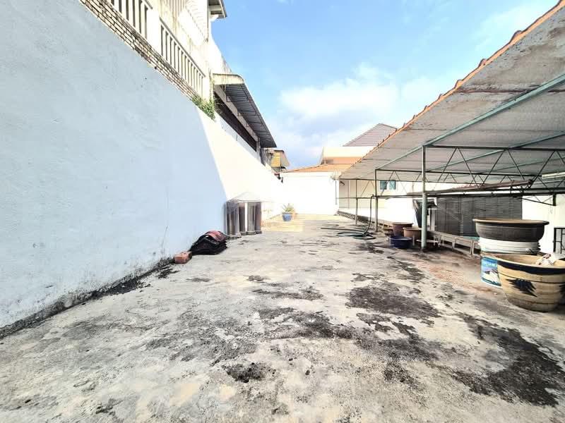 Jelutong - 3