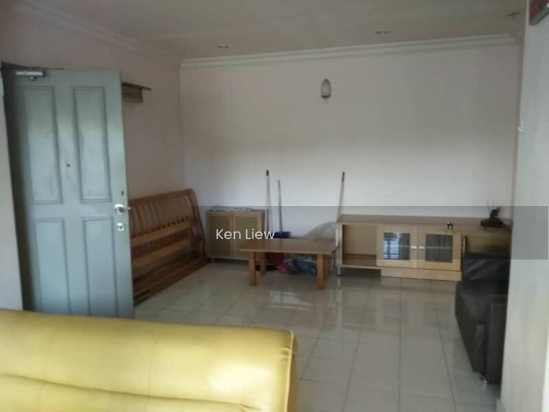 Evergreen Park Acorn & Hazel - 5