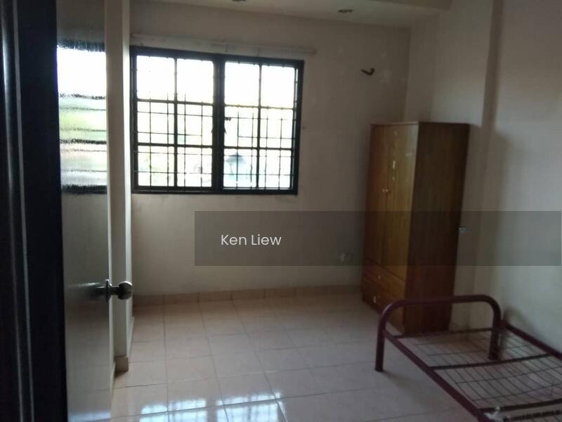 Evergreen Park Acorn & Hazel - 1