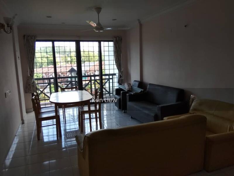 Evergreen Park Acorn & Hazel - 4