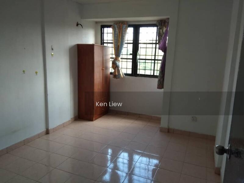 Evergreen Park Acorn & Hazel - 3