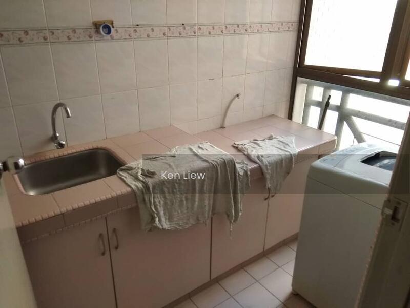 Evergreen Park Acorn & Hazel - 2