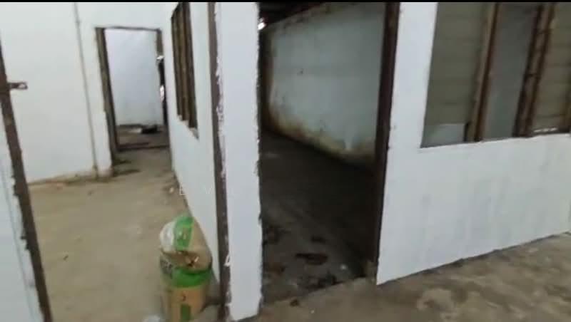 Kulai Kulai Kulais - 5