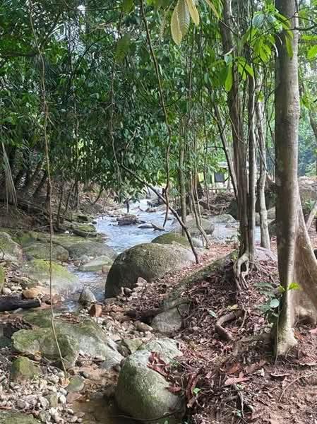 Land for Sale, Lenggong Perak - 4