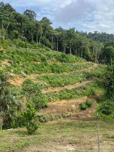 Land for Sale, Lenggong Perak - 2