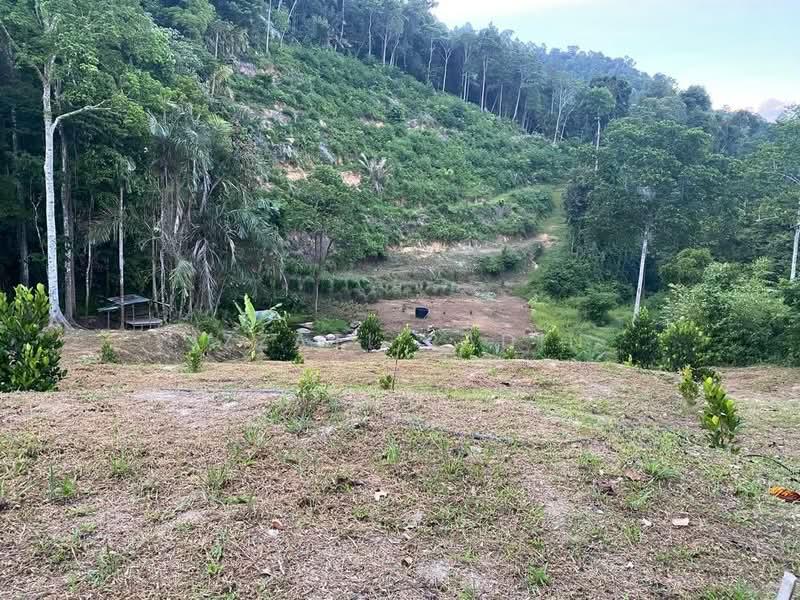Land for Sale, Lenggong Perak - 1