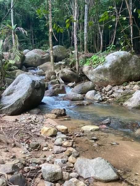 Land for Sale, Lenggong Perak - 3