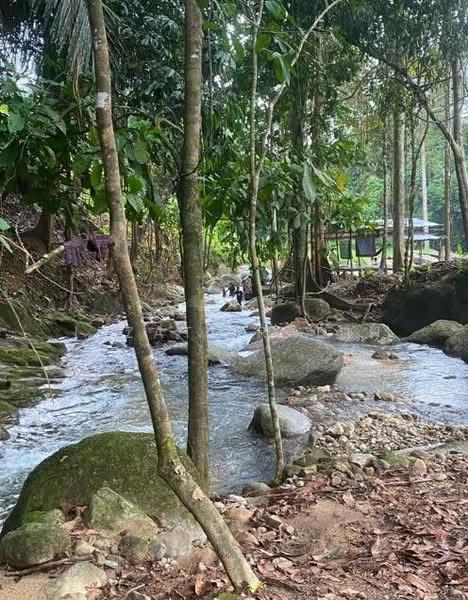 Land for Sale, Lenggong Perak - 5