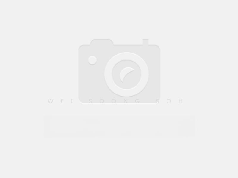 Hampton Height Damansara - 4