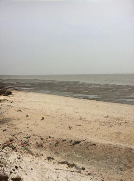 Sekinchan, Tanjung Karang, Kuala Selangor Beachfront Land For Sale. - 2