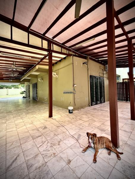 Pulau tikus - 2