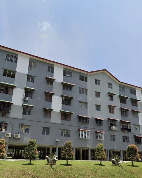 Teratai - 4