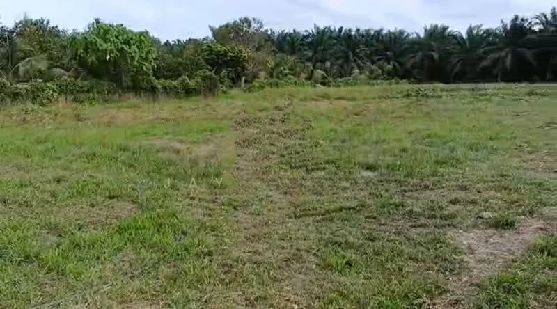 Kota Tinggi Kota Tinggi Kotas Tinggis - 1