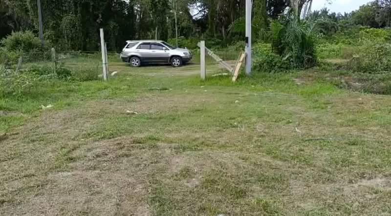 Kota Tinggi Kota Tinggi Kotas Tinggis - 4