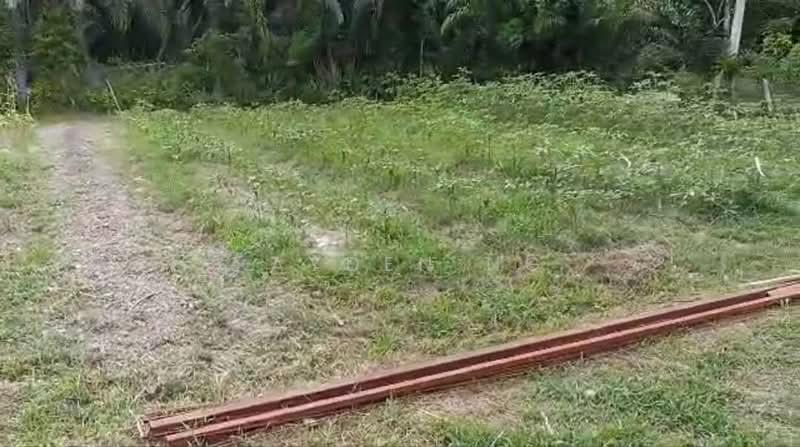 Kota Tinggi Kota Tinggi Kotas Tinggis - 5