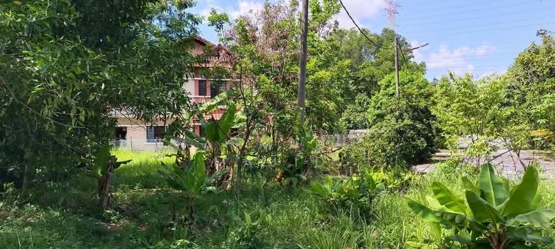 Taman Mutiara Bangi - 2
