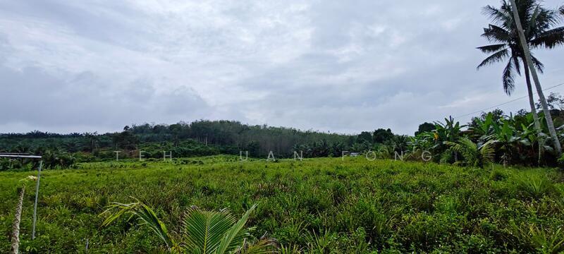 5.8 acres Agricultural Land | Empty Land | Kuala Kangsar Rm3psf - 2