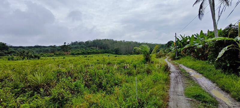 5.8 acres Agricultural Land | Empty Land | Kuala Kangsar Rm3psf - 1