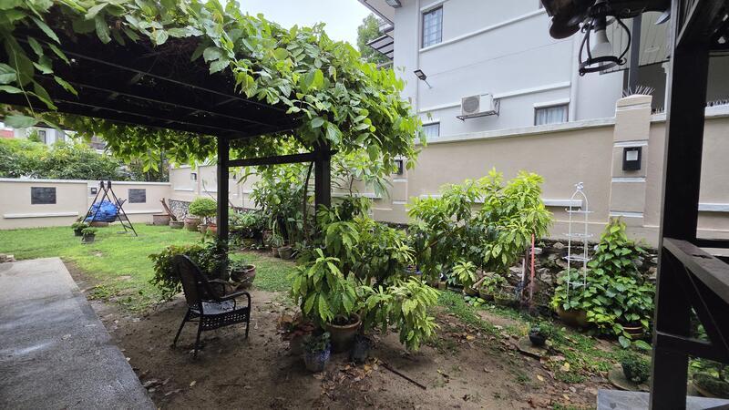 Oncidium Heights - 1