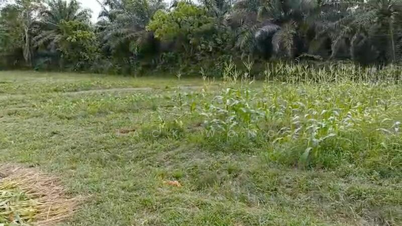 Kota Tinggi Sedili Besar - 2