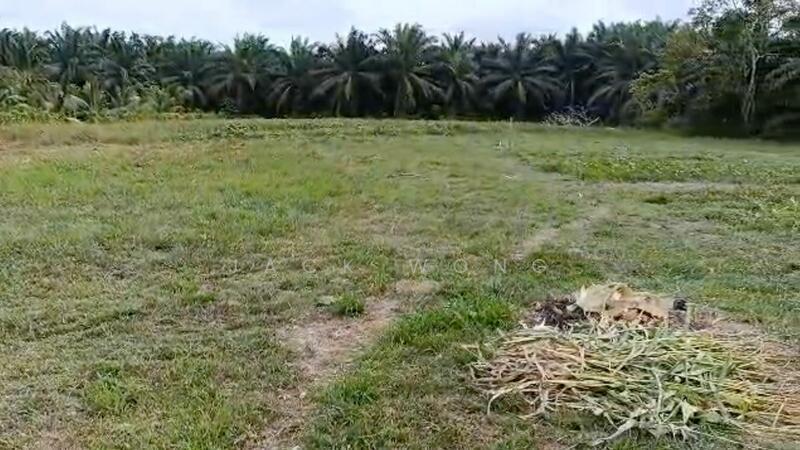 Kota Tinggi Sedili Besar - 4