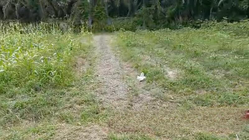 Kota Tinggi Sedili Besar - 3