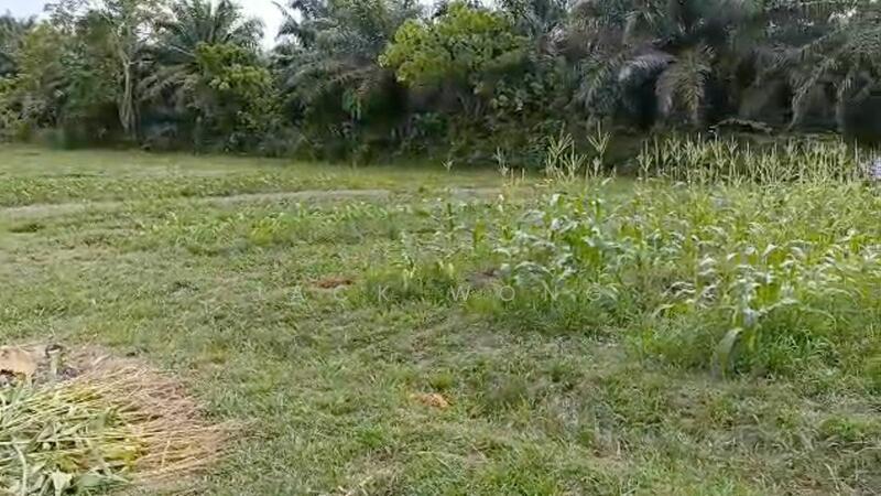 Kota Tinggi Sedili Besar - 5